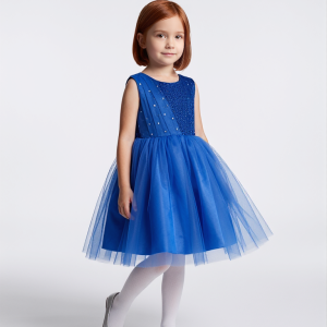Royal Blue Princess Tulle Party Dress